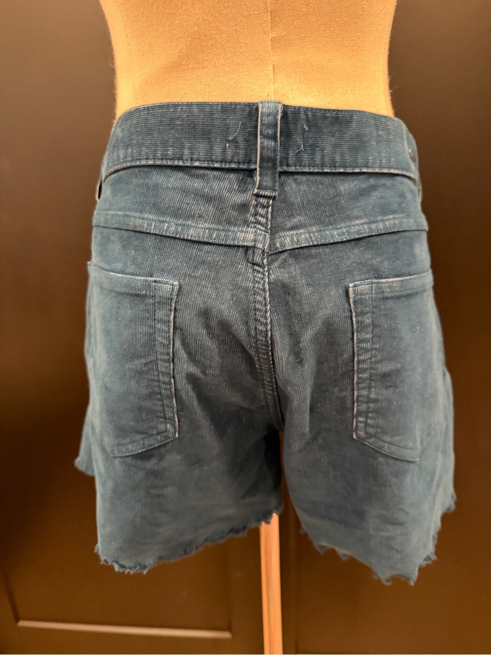 Carve Designs Oahu 4" Corduroy Shorts Size 8 Pacifica Blue Excellent Condition - Picture 5 of 11